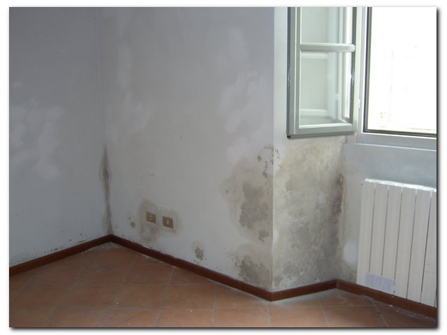 Umidità muri