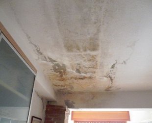 Infiltrazioni acqua in condominio: cosa fare