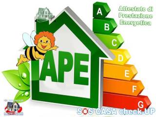 Obbligo APE