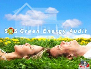 GREEN ENERGY AUDITOR