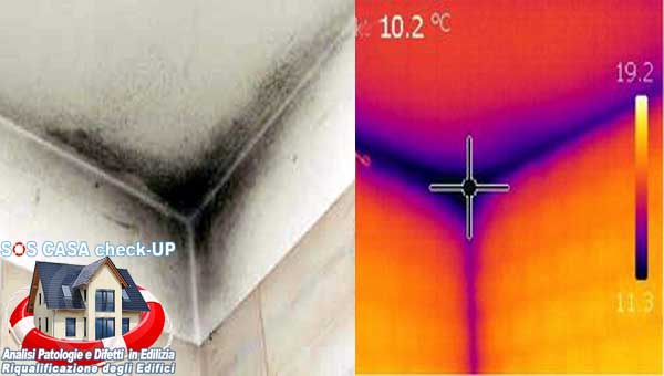 muffa-e-condensa-sui-muri